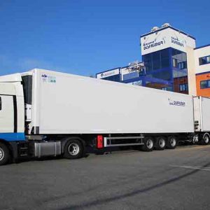 📦 Servicio de Transporte de Carga